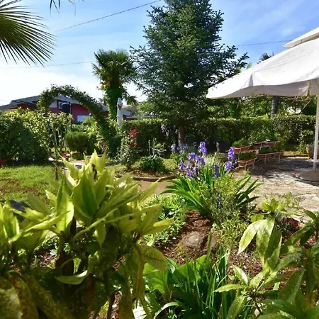 Neza B4 By Interhome Appartement