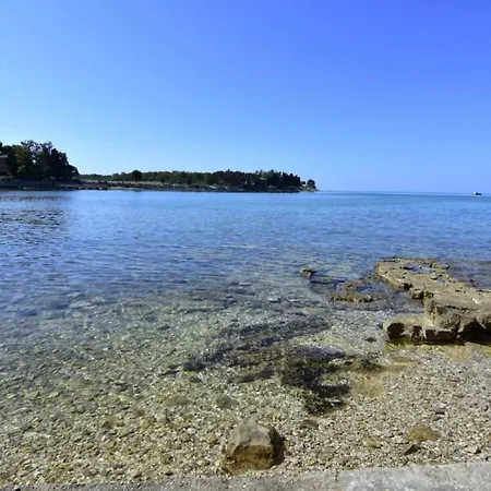 Appartement Neza B4 By Interhome Bašanija