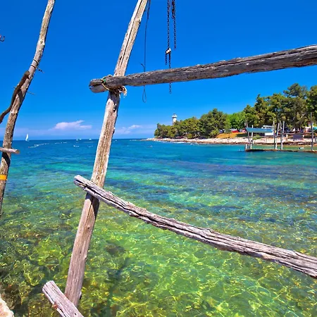 Neza B4 By Interhome Appartement