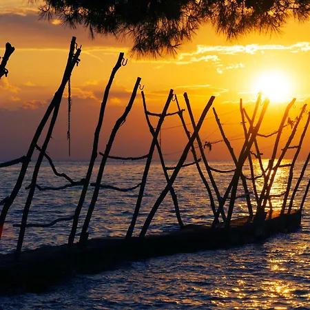 Appartement Neza B4 By Interhome