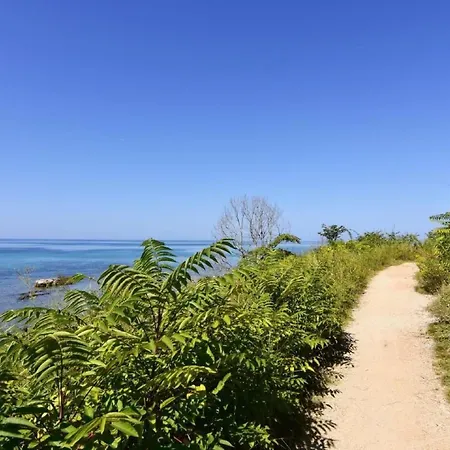 Neza B4 By Interhome Apartment