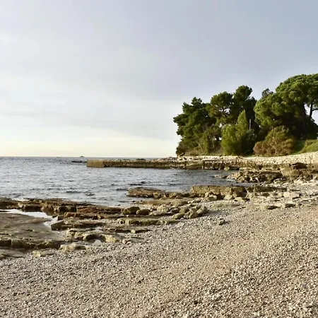 Apartment Neza B4 By Interhome *