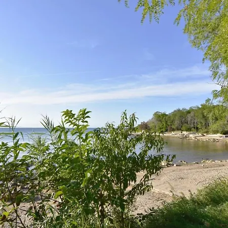 Neza B4 By Interhome Appartement