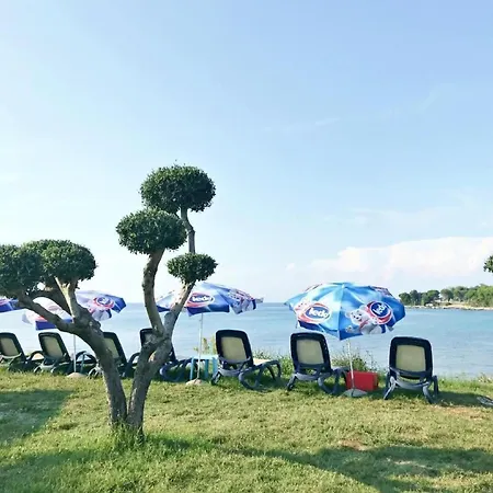 Neza B4 By Interhome Apartment