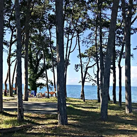 Neza B4 By Interhome Basanija